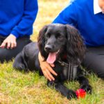 St Peter's Whetstone 19